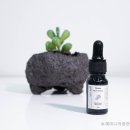 스니피드 이미지