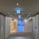 라운딩테라피 | 임블리 추천 피부과] 강남역 1번출구 온다리프팅 10만줄 + 산소 테라피 솔직 후기 , 전문 피부과는 첫방문!