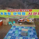 성산초등학교 이미지