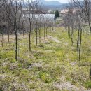 법산농장 이미지