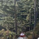 지에스25 포천삼정점 이미지