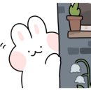 마포해장뼈다귀 이미지