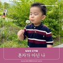 일상의 조각들 _ 혼자가 아닌 나