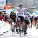 팔레스텔 이미지