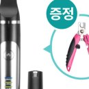 견생템 이미지