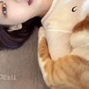 에스파 카리나 품에 계속 있고 싶어하는 고양이.gif 이미지