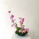 플로리스트(오전) | [백수의 플로리스트 도전기 2.] 실기학원 2회차~종강 ㅣ 똥손이 화훼장식기능사 실기 한 번에 합격한 후기