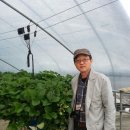 다감농원 이미지