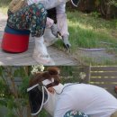 신지아파트 이미지