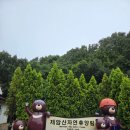 제암산 숲속교육관화장실 | 전남 보성군 웅치면 제암산자연휴양림 제암휴양관 104호 물놀이장 곰썰매