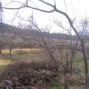 정상농장 이미지