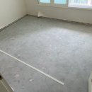 리젤펠리스 이미지