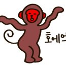 스시희랑 이미지