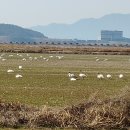 장선포2 이미지