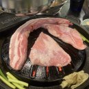 넙딱집대전 이미지