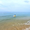코미치바다 펜션 | 강릉 조용한 바닷가 경포해변 옆 순긋해변 도보 1분 코미치바다 펜션