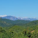 남훈행정사 이미지