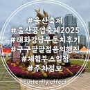 현대자동차 태화점 | 울산공업축제 2025 일정 운영부스 주차 입장료 태화강남구둔치 후기