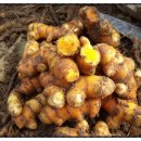 하민농장 이미지