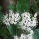 설악동 B 주차장 이미지