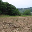 파주농장 이미지