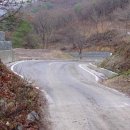 일부1리 이미지