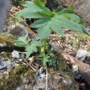 산골짜기농장 이미지