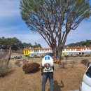 남원서원초등학교 이미지