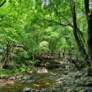 곰배령주차장 이미지