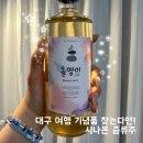 대구 여행 기념품 | 대구 전통주를 만날 수 있는 주류항해 방문 후기 | 수성구 전통주 바틀샵 | 시음가능