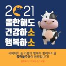 꿈마을 미래유치원 이미지