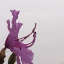 말미골농장 이미지