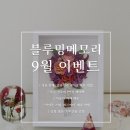 블루밍메모리 이미지