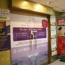 스킨세상뷰 네이버블로그