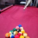 초이스당구장 이미지