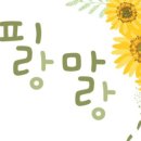퍼펙트농장 이미지