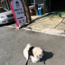 명산한우식육식당 | 대구 애견동반 식당 | 팔공산 명산한우식육식당 별관 4번방