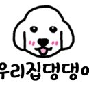 애견발자국 이미지