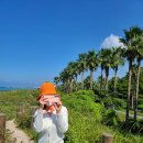 카페 파라 이미지