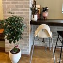 농소1동도서관 화장실 | 울산 북구 호계 노드커피 : 조용하고 분위기있는 신상카페