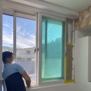 도그토피아 이미지