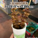 시나미 | 강릉중앙시장 먹거리 생염통꼬치 맛집 시나미닭염통 1시간 웨이팅 솔직후기