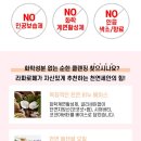 라파 팜 이미지