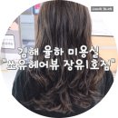 쏘유헤어뷰장유 네이버블로그