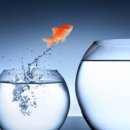 보인중학교 이미지