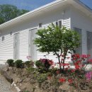 푸른숲캠핑장 이미지