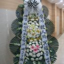 정종만 Daum카페