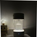 신일 | 대형 가습기 못지않은 성능 신일 후기