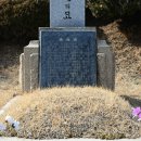 안장의사 이미지