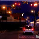 안녕동해야 이미지